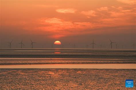 ¡Sumérgete en la historia y la belleza natural del Parque Nacional de los Humedales de Yancheng!