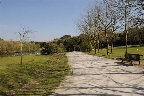 El Parque da Cidade: Un Oasis Urbano Conocido por sus Vistas Panorámicas y Senderos Encantadores!